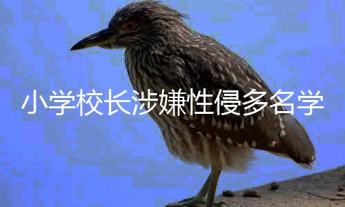 小學(xué)校長(zhǎng)涉嫌性侵多名學(xué)生庭審拒不認(rèn)罪