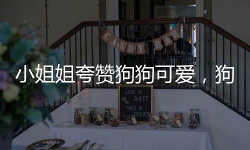 小姐姐夸贊狗狗可愛，狗激動(dòng)碰瓷，人與寵物的溫馨互動(dòng)