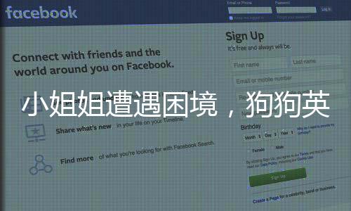 小姐姐遭遇困境，狗狗英勇出手——一起見(jiàn)證人與寵物的默契時(shí)刻