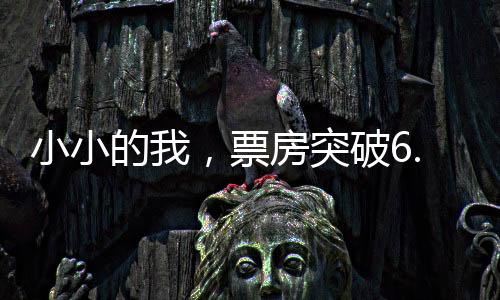 小小的我，票房突破6.61億，創(chuàng)造華語電影新奇跡