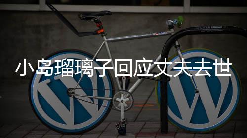 小島瑠璃子回應丈夫去世 不方便透露死因