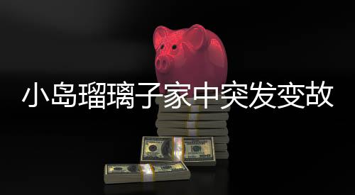 小島瑠璃子家中突發(fā)變故，丈夫不幸離世，她受輕傷備受關(guān)注