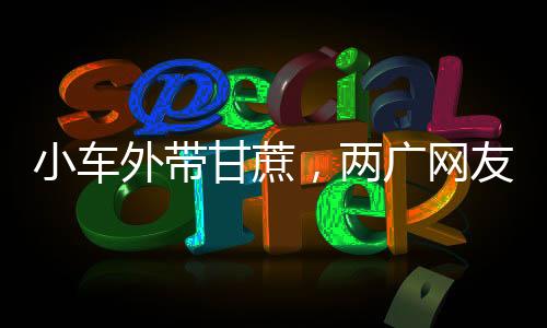 小車外帶甘蔗，兩廣網(wǎng)友解讀意頭