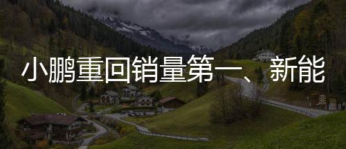 小鵬重回銷量第一、新能源汽車市場的強勢回歸與未來展望