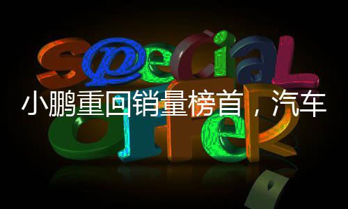 小鵬重回銷(xiāo)量榜首，汽車(chē)市場(chǎng)的亮眼新星閃耀奪目