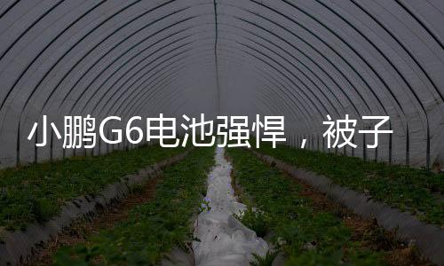 小鵬G6電池強(qiáng)悍，被子彈連續(xù)擊中10槍仍正常運(yùn)行