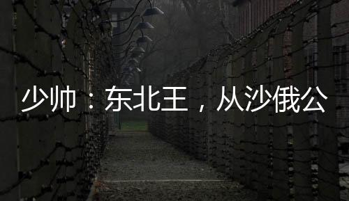 少帥：東北王，從沙俄公主開始