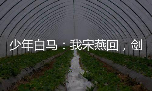 少年白馬：我宋燕回，劍斬太安帝