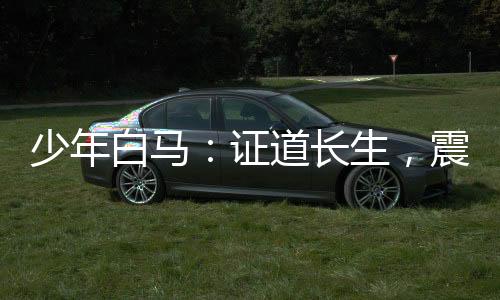 少年白馬：證道長生，震驚北離！