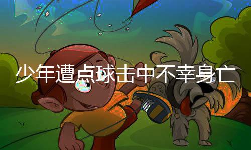 少年遭點(diǎn)球擊中不幸身亡，引發(fā)社會(huì)關(guān)注與思考