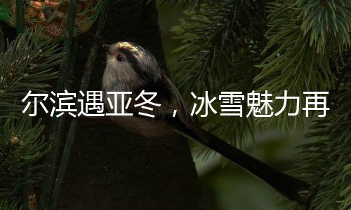 爾濱遇亞冬，冰雪魅力再升華
