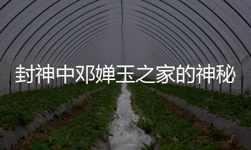 封神中鄧嬋玉之家的神秘面紗，那爾那茜的深度解讀