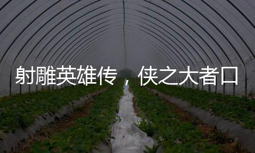 射雕英雄傳，俠之大者口碑評析