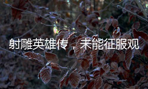 射雕英雄傳，未能征服觀眾之深度解析