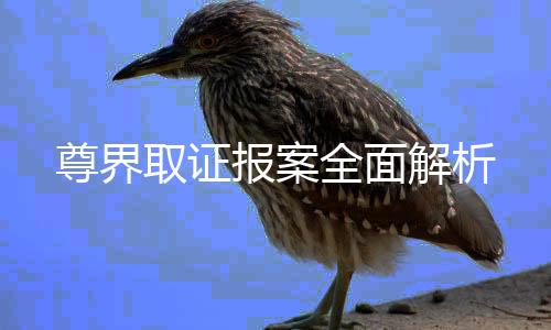尊界取證報案全面解析