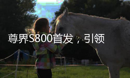 尊界S800首發(fā)，引領(lǐng)行業(yè)風(fēng)向的三大新技術(shù)揭秘