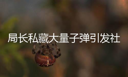 局長私藏大量子彈引發(fā)社會關(guān)注