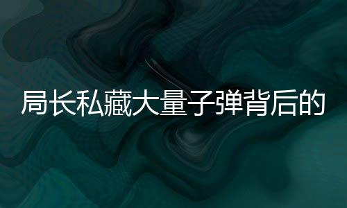 局長私藏大量子彈背后的隱秘，警示社會與個人責(zé)任的缺失（全文超過千五萬字）