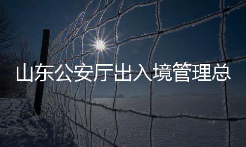 山東公安廳出入境管理總隊總隊長被查，引發(fā)社會關注