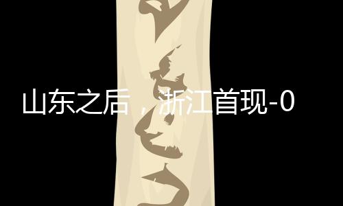 山東之后，浙江首現(xiàn)-0.2元負電價，電價創(chuàng)新低，引領能源轉型新篇章