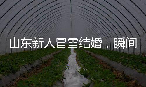 山東新人冒雪結(jié)婚，瞬間白頭，見證真摯愛情