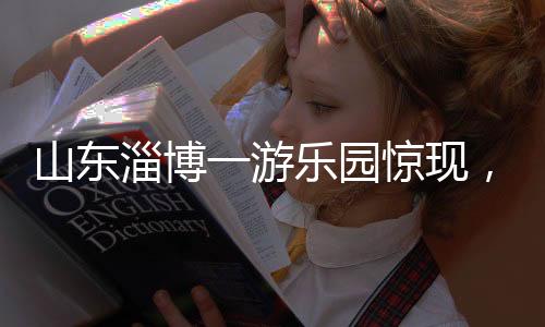 山東淄博一游樂園驚現(xiàn)，驢扮演斑馬，引發(fā)社會關注