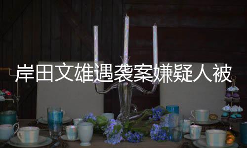 岸田文雄遇襲案嫌疑人被判刑十年，深度解讀事件內(nèi)幕與影響