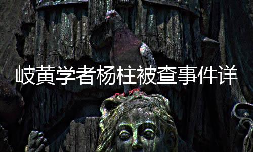 岐黃學(xué)者楊柱被查事件詳述