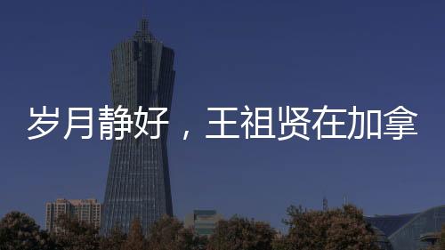 歲月靜好，王祖賢在加拿大開啟艾灸養(yǎng)生之旅
