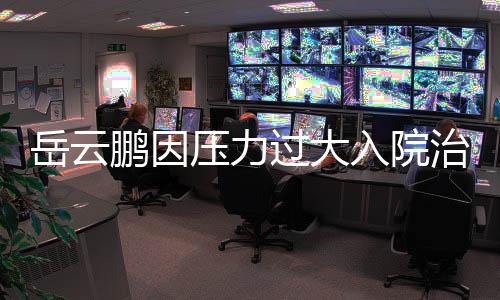 岳云鵬因壓力過大入院治療，一線工作生活壓力引發(fā)關(guān)注