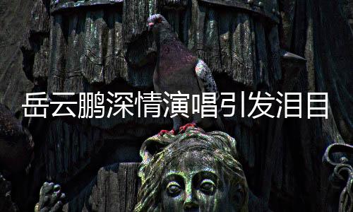 岳云鵬深情演唱引發(fā)淚目，舞臺魅力令人動容