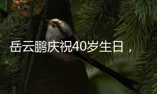 岳云鵬慶祝40歲生日，大女兒罕見(jiàn)露臉——溫馨家庭瞬間記錄