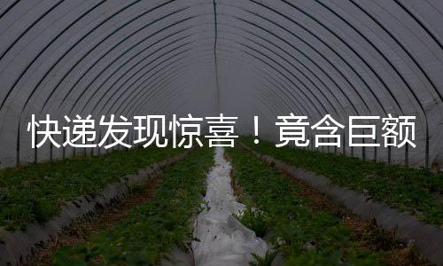快遞發(fā)現(xiàn)驚喜！竟含巨額購(gòu)物卡引警覺(jué)報(bào)案揭秘追蹤過(guò)程（附辦案細(xì)節(jié)）