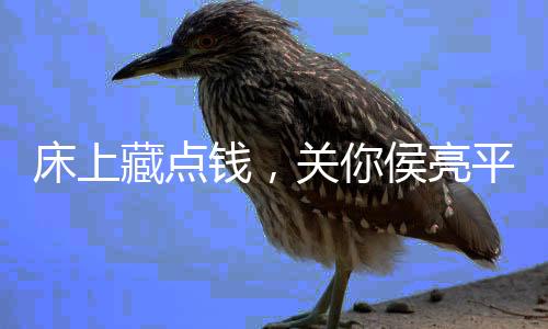 床上藏點(diǎn)錢，關(guān)你侯亮平什么事？