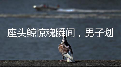 座頭鯨驚魂瞬間，男子劃船遭鯨口吞噬后奇跡生還