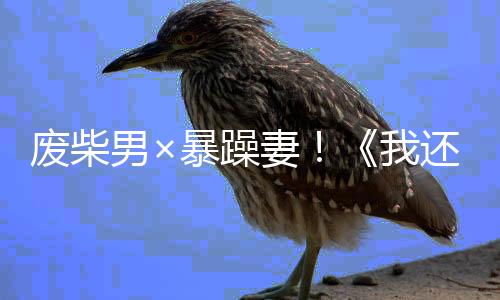 廢柴男×暴躁妻！《我還是想和妻子做》出劇場版