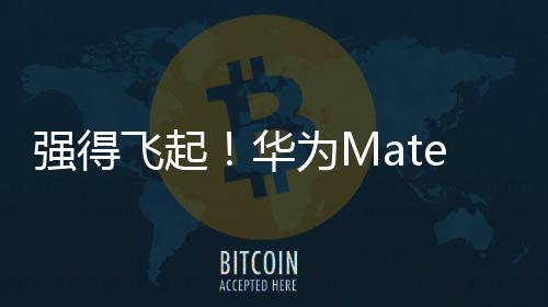 強得飛起！華為Mate X6系列開售：12999元起