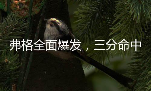 弗格全面爆發(fā)，三分命中艱難奪魁，獨得41分創(chuàng)賽場輝煌