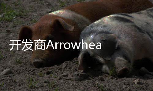 開發(fā)商Arrowhead透露《絕地潛兵2》被刪除的創(chuàng)意 包括5人小隊和低重力星球等