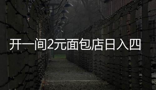 開一間2元面包店日入四千的成功秘訣揭秘，揭秘小型面包店背后的故事與成功之道