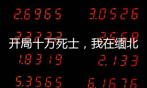 開(kāi)局十萬(wàn)死士，我在緬北稱(chēng)帝！