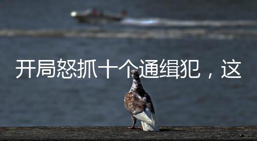 開局怒抓十個通緝犯，這是新警？