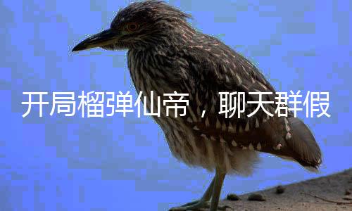 開局榴彈仙帝，聊天群假裝荒天帝