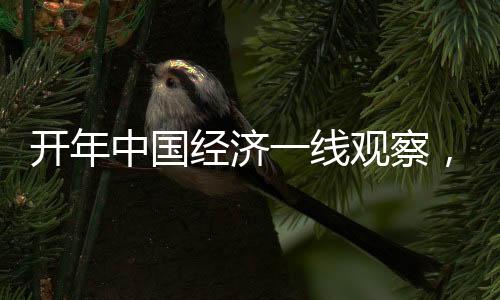 開年中國經(jīng)濟一線觀察，穩(wěn)健起步，活力涌現(xiàn)