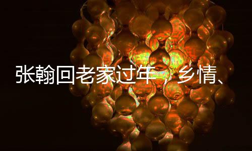 張翰回老家過(guò)年，鄉(xiāng)情、傳統(tǒng)與現(xiàn)代交融的溫馨瞬間