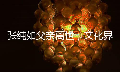 張純?nèi)绺赣H離世，文化界痛失一顆璀璨之星