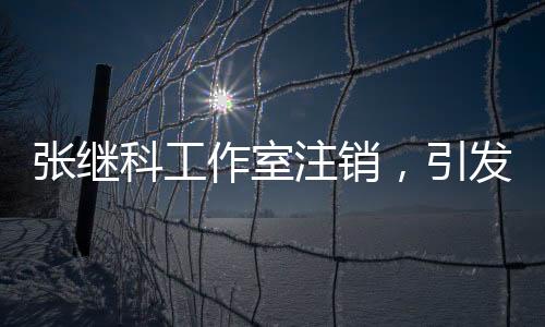 張繼科工作室注銷，引發(fā)關(guān)注熱議