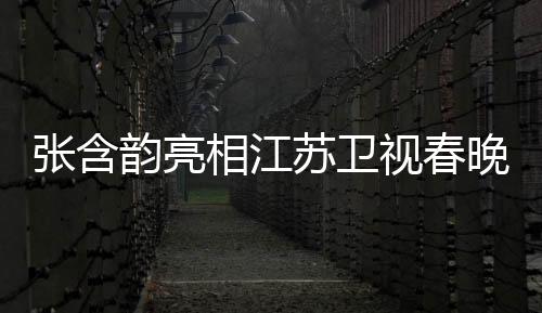 張含韻亮相江蘇衛(wèi)視春晚舞臺，璀璨演出燃爆全場