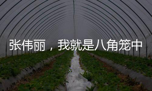 張偉麗，我就是八角籠中的哪吒