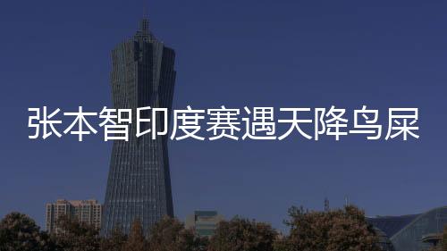 張本智印度賽遇天降鳥(niǎo)屎，意外瞬間挑戰(zhàn)比賽新高度
